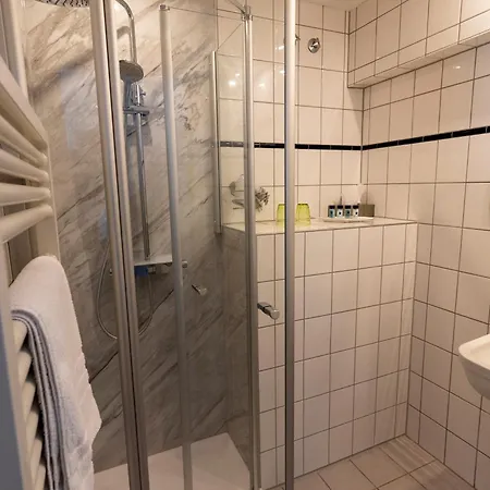 Hotel Hotel-restaurant Schettel 3*