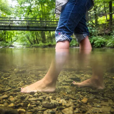 Hotel-restaurant Schettel