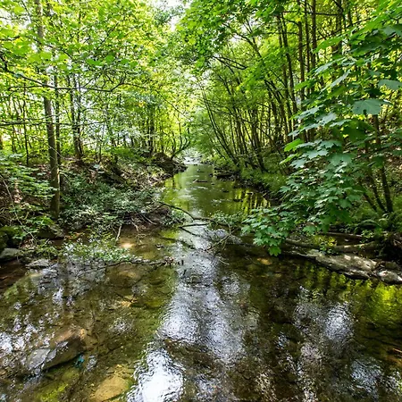 Hotell Hotel-restaurant Schettel Olsberg