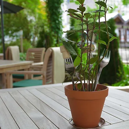 Hotel Hotel-restaurant Schettel Olsberg