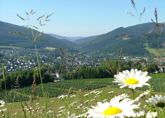 Hotel Hotel-restaurant Schettel Olsberg