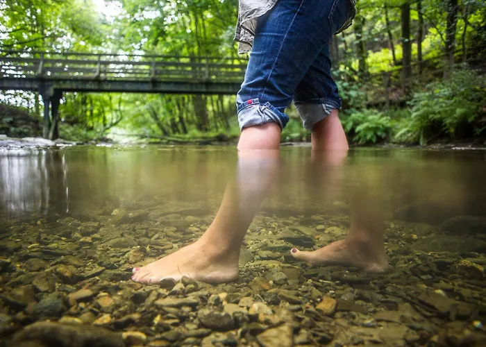 Hotel-restaurant Schettel