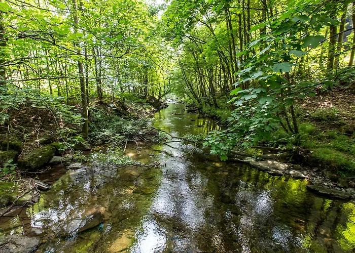 Hotel Hotel-restaurant Schettel Olsberg